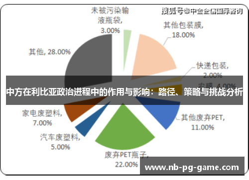 中方在利比亚政治进程中的作用与影响：路径、策略与挑战分析